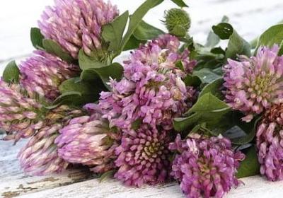 老师要走的离别祝福语(汇总7句)