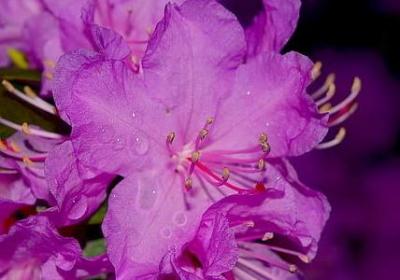 药店祝福语(50句)