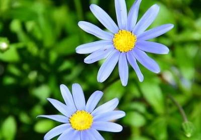 老年人过寿祝福语(实用50句)