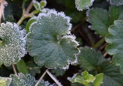 贺朋友女儿结婚祝福语(40句)