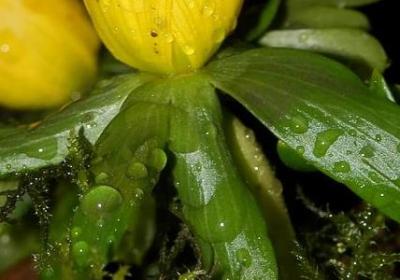 英语写信结尾祝福语(通用117句)