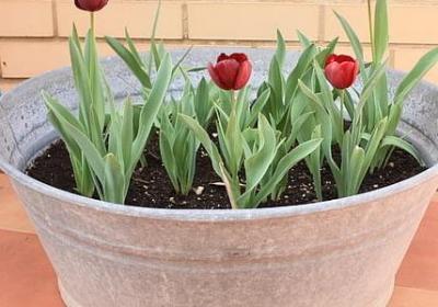 蛋糕店祝福语(通用40句)