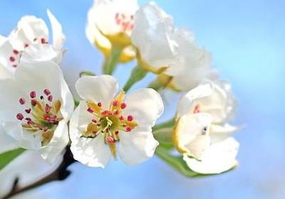 考试通过祝福语(汇总60句)