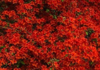 英语祝福语大全简短(必备80句)