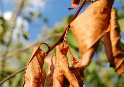 老爸退休祝福语(热门50句)