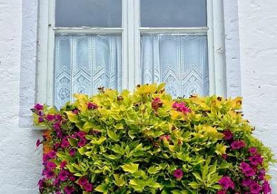 考试顺利通过祝福语(通用50句)