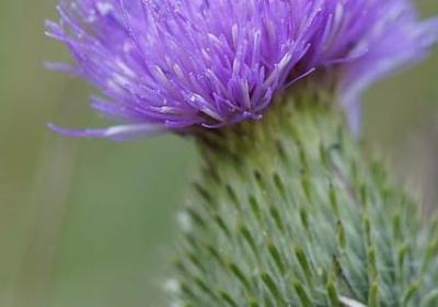 财神爷祝福语(实用60句)