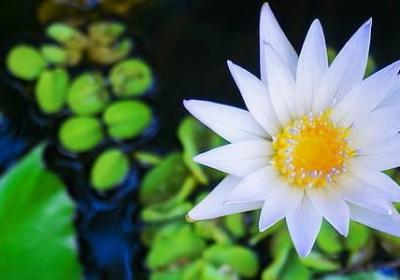 考试成功祝福语(共40句)