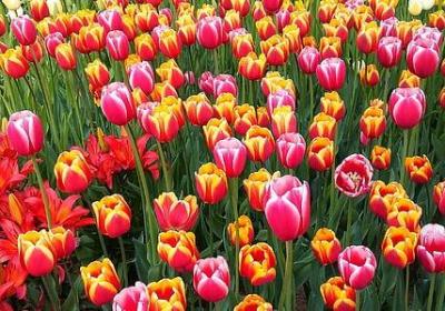 贺新居祝福语(共70句)