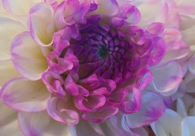 调侃生日祝福语简短(必备20句)