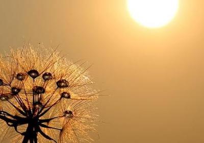 老爸生日祝福语 简短(实用60句)