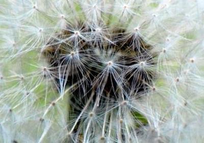 考试顺利的祝福语4个字(通用60句)