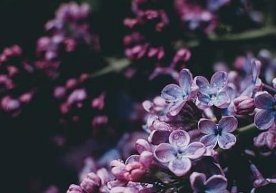 诊所开业祝福语(共60句)