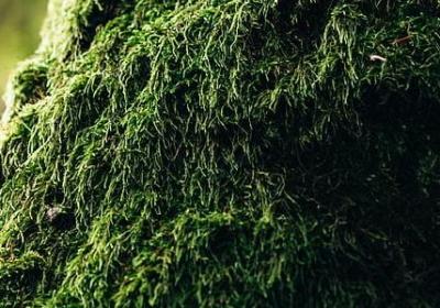 英文祝福语(通用120句)