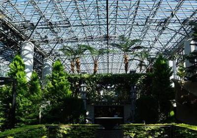 表妹结婚祝福语(精选60句)