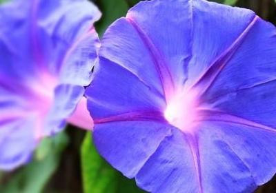 贺卡祝福语(汇总70句)