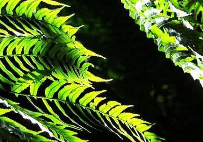 考大学的祝福语(热门50句)