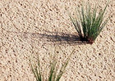 贺卡上的祝福语(优选70句)