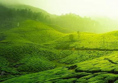 舅舅六十岁生日祝福语(合集10句)