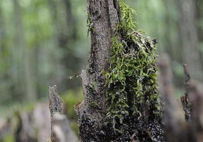 调侃的生日祝福语(汇总79句)