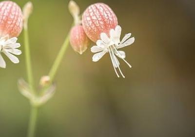 老年人生日蛋糕祝福语(合集50句)