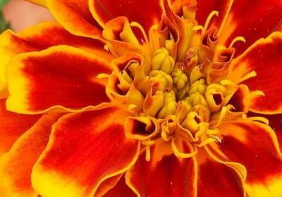 考试祝福语大全(80句)