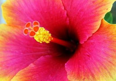 身体早日康复的祝福语(实用50句)