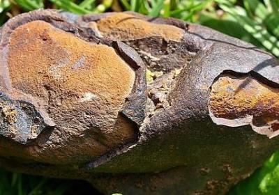 考试成功的祝福语成语(推荐40句)