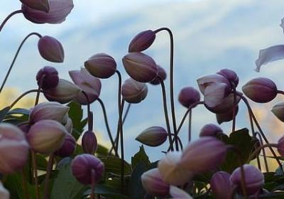 英文的祝福语简短版(合集99句)