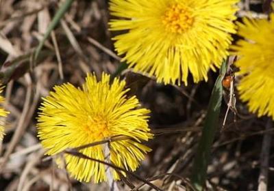 耄耋之年祝福语(优选60句)