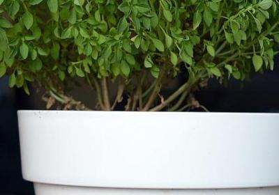 自己提新车祝福语(必备70句)