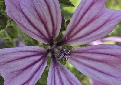 舍友结婚祝福语(推荐60句)