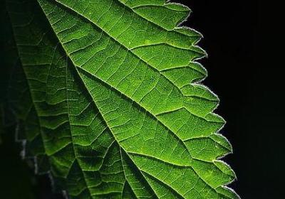 考试祝福语简短(优选50句)