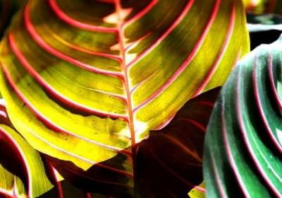 致给自己的生日祝福语(汇总70句)