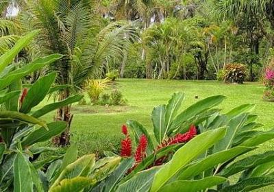 蛋糕店开业祝福语(60句)