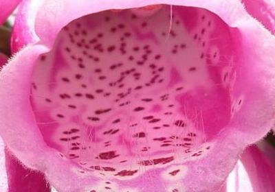 老年人的祝福语大全(汇总78句)