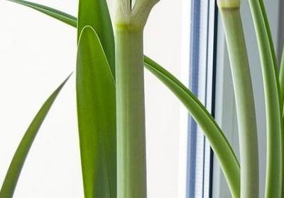 舅舅生日祝福语 简短(推荐60句)