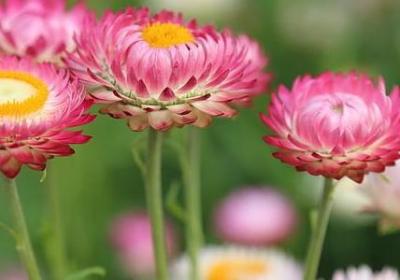 身体健康的祝福语四字(汇总50句)