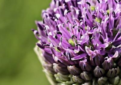 装修开工祝福语(共40句)