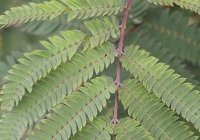 辛苦祝福语(通用79句)