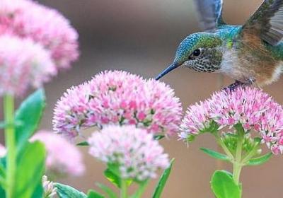 老领导生日祝福语(热门40句)