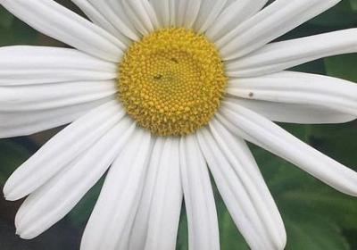 英语结尾祝福语(通用110句)