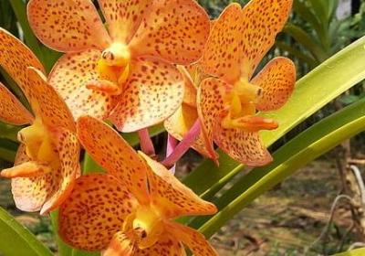 自己生日快乐的祝福语(57句)