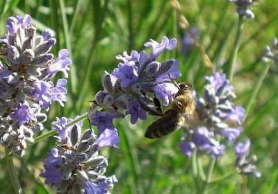 考学祝福语(合集50句)