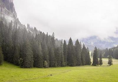 结婚24周年祝福语(热门10句)