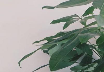 职位高升祝福语(热门50句)