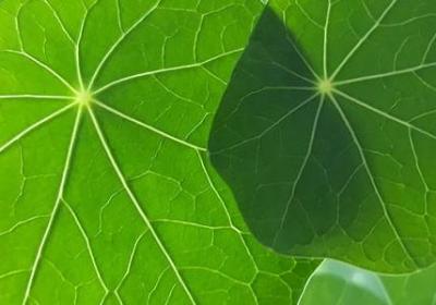 自己的祝福语(推荐60句)