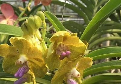 给宝宝祝福语8个字(通用74句)