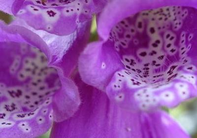 运动会的祝福语(共50句)