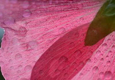 给新娘祝福语(实用40句)